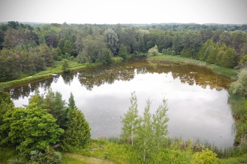 Cottage Retreat On 11 Acres Flesherton Екстер'єр фото